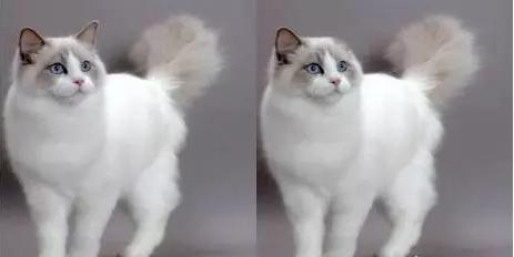 工業(yè)機器人智能化的秘密武器——機器視覺-機器視覺_視覺檢測設(shè)備_3D視覺_缺陷檢測