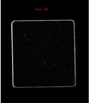 簡(jiǎn)述機(jī)器視覺(jué)檢測(cè)技術(shù)在幾種物體表面缺陷檢測(cè)的應(yīng)用案例-機(jī)器視覺(jué)_視覺(jué)檢測(cè)設(shè)備_3D視覺(jué)_缺陷檢測(cè)