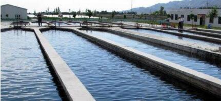 物聯(lián)網(wǎng)環(huán)境監(jiān)測傳感器設(shè)備的應(yīng)用-機(jī)器視覺_視覺檢測設(shè)備_3D視覺_缺陷檢測