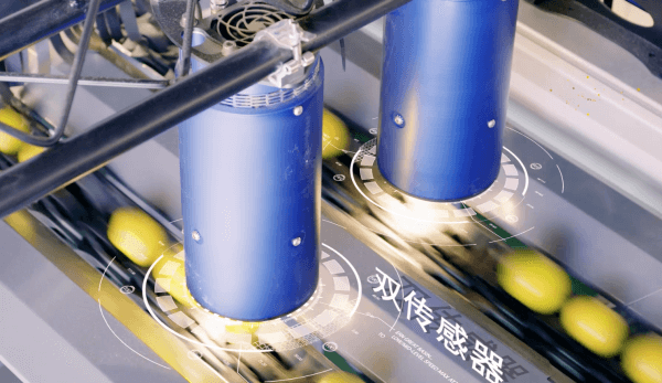 機(jī)器視覺(jué)技術(shù)與農(nóng)業(yè)自動(dòng)化-機(jī)器視覺(jué)_視覺(jué)檢測(cè)設(shè)備_3D視覺(jué)_缺陷檢測(cè)