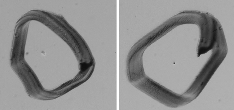 曲面屏表面瑕疵檢測，曲面屏外觀缺陷視覺檢測系統(tǒng)-機器視覺_視覺檢測設備_3D視覺_缺陷檢測
