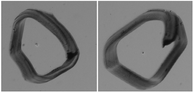 曲面屏表面瑕疵檢測，曲面屏外觀缺陷視覺檢測系統(tǒng)-機器視覺_視覺檢測設備_3D視覺_缺陷檢測