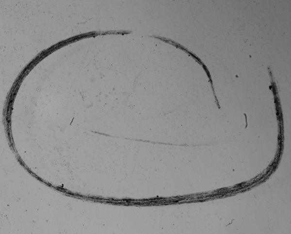 曲面屏表面瑕疵檢測，曲面屏外觀缺陷視覺檢測系統(tǒng)-機器視覺_視覺檢測設備_3D視覺_缺陷檢測