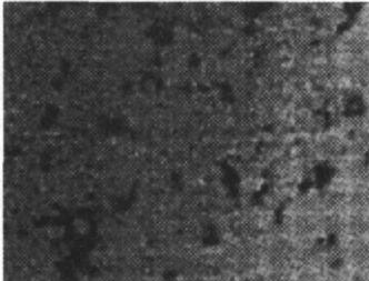 機器視覺滾動軸承表面缺陷檢測應(yīng)用分析-機器視覺_視覺檢測設(shè)備_3D視覺_缺陷檢測