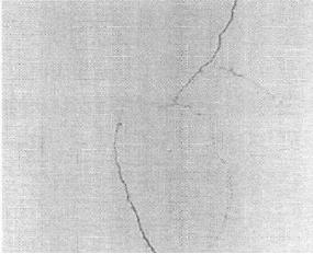 機器視覺滾動軸承表面缺陷檢測應(yīng)用分析插圖2 機器視覺滾動軸承表面缺陷檢測應(yīng)用分析-機器視覺_視覺檢測設(shè)備_3D視覺_缺陷檢測