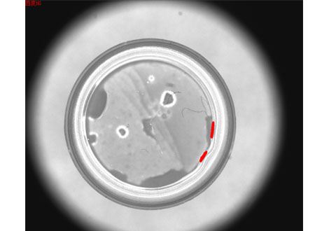 醫(yī)藥行業(yè)機(jī)器視覺檢測設(shè)備系統(tǒng)方案-機(jī)器視覺_視覺檢測設(shè)備_3D視覺_缺陷檢測