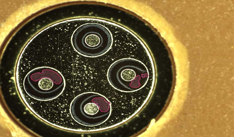 1648866076794354.jpg 手機(jī)攝像頭外觀瑕疵缺陷視覺檢測-機(jī)器視覺_視覺檢測設(shè)備_3D視覺_缺陷檢測