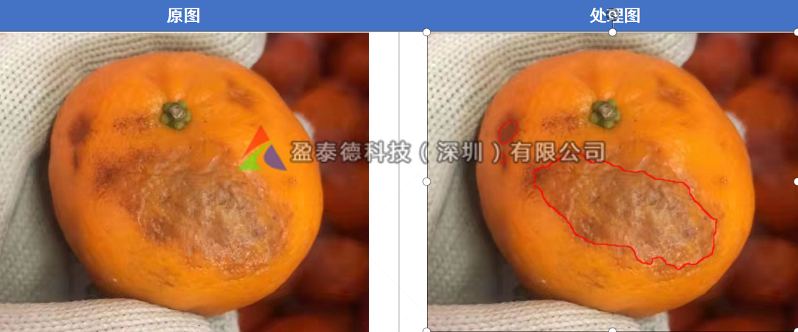 水果自動(dòng)篩選機(jī)（水果不良品機(jī)器視覺檢測方案）-機(jī)器視覺_視覺檢測設(shè)備_3D視覺_缺陷檢測