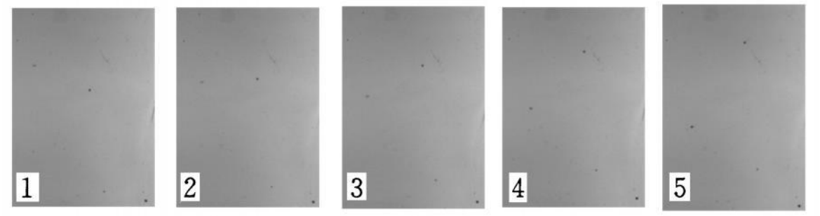 雜質(zhì)檢測(瓶裝白酒雜質(zhì)視覺檢測方案)插圖3 雜質(zhì)檢測(瓶裝白酒雜質(zhì)視覺檢測方案)-機(jī)器視覺_視覺檢測設(shè)備_3D視覺_缺陷檢測