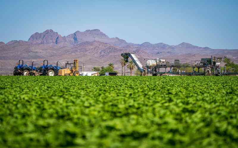 工業(yè)機器視覺系統(tǒng)如何實現(xiàn)多視角分析 工業(yè)機器視覺系統(tǒng)如何實現(xiàn)多視角分析