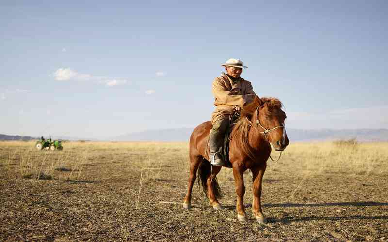數(shù)據(jù)流處理的實時性如何影響缺陷檢測 數(shù)據(jù)流處理的實時性如何影響缺陷檢測