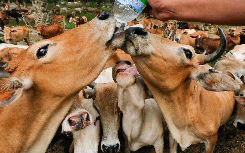 視覺檢測系統(tǒng)的穩(wěn)定性包括哪些方面 視覺檢測系統(tǒng)的穩(wěn)定性包括哪些方面