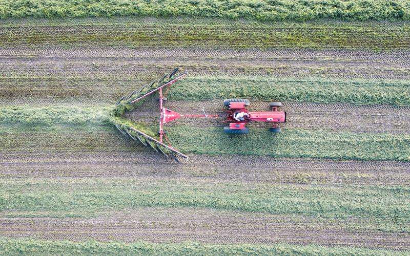 瑕疵檢測系統(tǒng)如何提升供應(yīng)鏈的透明度