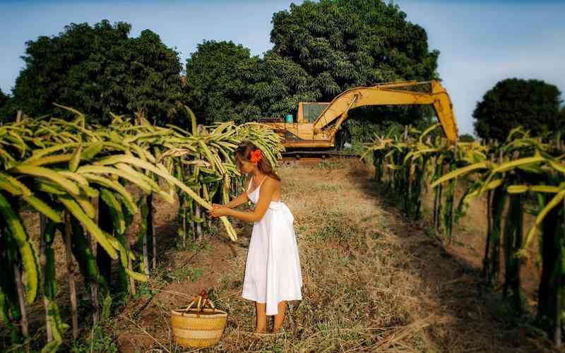 未來機器視覺技術(shù)的發(fā)展趨勢和預(yù)測是什么 未來機器視覺技術(shù)的發(fā)展趨勢和預(yù)測是什么