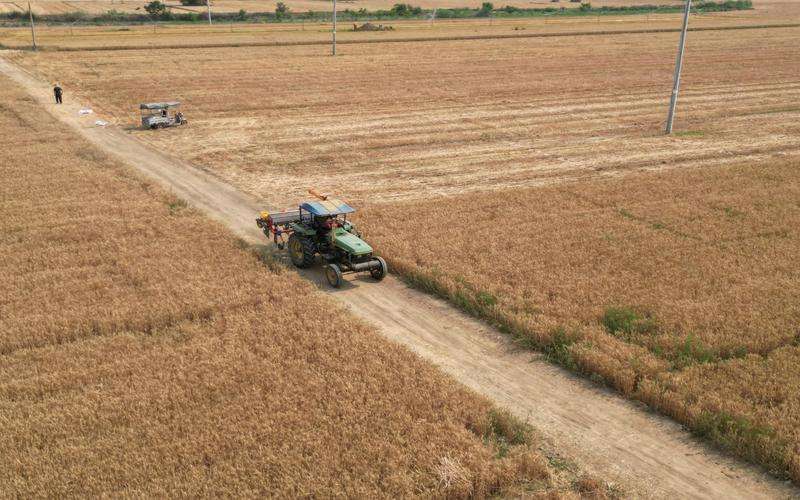 如何選擇適合大規(guī)模生產(chǎn)的標(biāo)簽品檢機(jī) 如何選擇適合大規(guī)模生產(chǎn)的標(biāo)簽品檢機(jī)