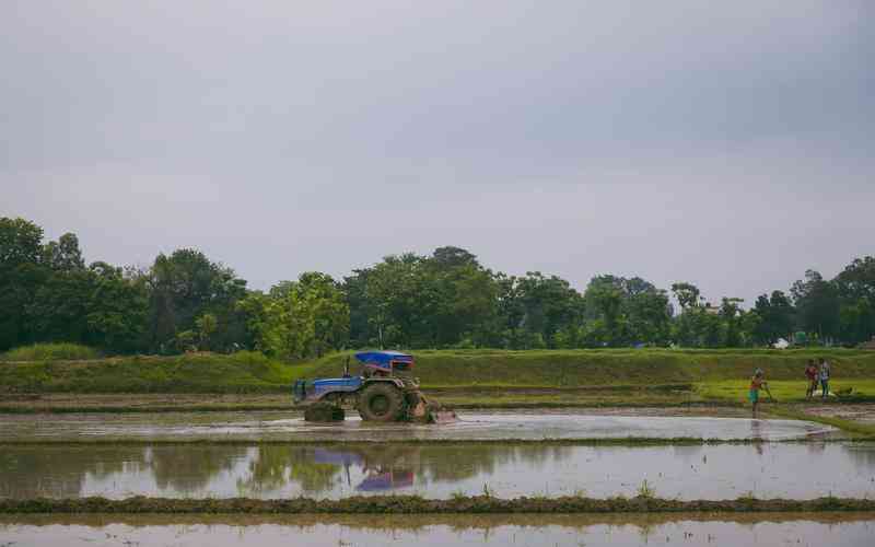 缺陷檢測(cè)圖像處理在食品安全領(lǐng)域的應(yīng)用案例有哪些 缺陷檢測(cè)圖像處理在食品安全領(lǐng)域的應(yīng)用案例有哪些