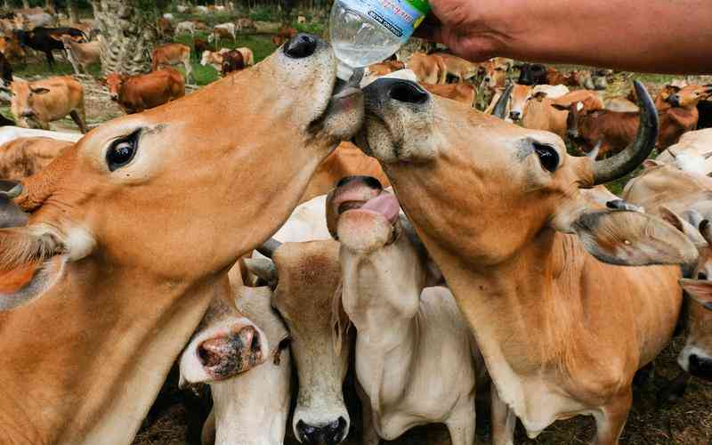 機(jī)器視覺系統(tǒng)如何使用動(dòng)態(tài)范圍調(diào)整技術(shù)應(yīng)對(duì)光照變化 機(jī)器視覺系統(tǒng)如何使用動(dòng)態(tài)范圍調(diào)整技術(shù)應(yīng)對(duì)光照變化