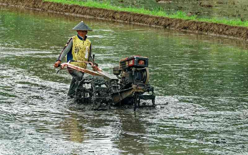 如何在視覺品檢機上配置自定義檢測規(guī)則 如何在視覺品檢機上配置自定義檢測規(guī)則