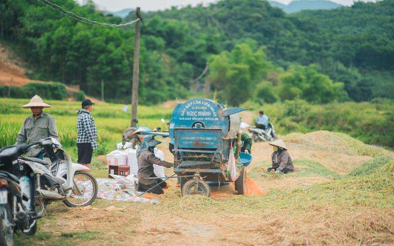 機器視覺項目中的人員培訓需求有哪些 機器視覺項目中的人員培訓需求有哪些