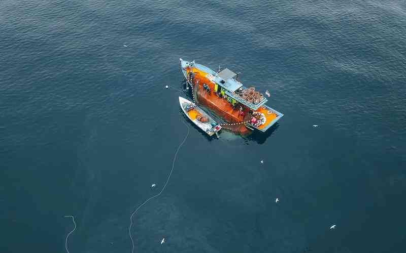 如何評估機(jī)器視覺系統(tǒng)的性能 如何評估機(jī)器視覺系統(tǒng)的性能