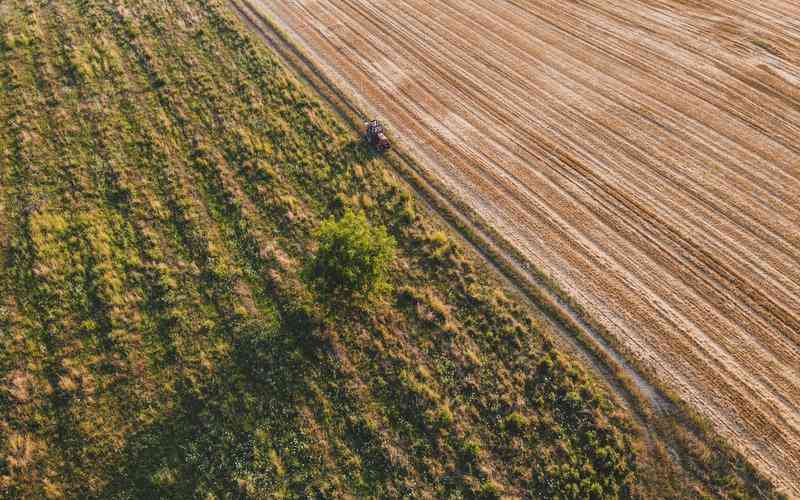 標(biāo)簽品檢機(jī)的培訓(xùn)和教育市場(chǎng)需求如何 標(biāo)簽品檢機(jī)的培訓(xùn)和教育市場(chǎng)需求如何