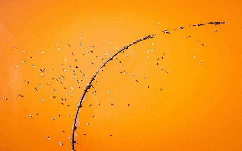 外觀檢測對藥品穩(wěn)定性的影響有哪些