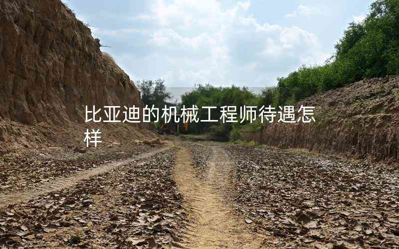 比亞迪的機(jī)械工程師待遇怎樣 比亞迪的機(jī)械工程師待遇怎樣