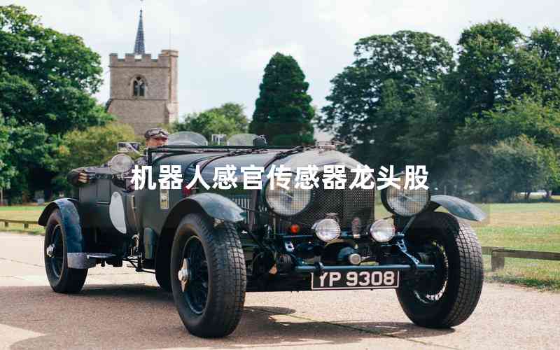 機(jī)器人感官傳感器龍頭股 機(jī)器人感官傳感器龍頭股