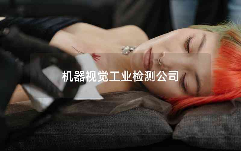 機器視覺工業(yè)檢測公司 機器視覺工業(yè)檢測公司