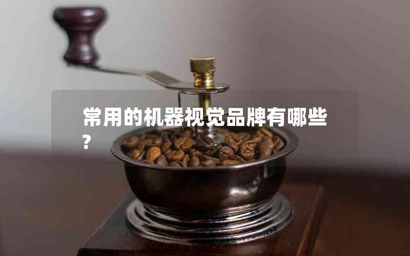 常用的機器視覺品牌有哪些? 常用的機器視覺品牌有哪些?