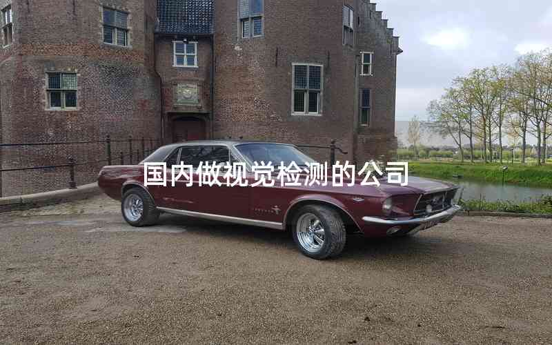 國內(nèi)做視覺檢測的公司 國內(nèi)做視覺檢測的公司