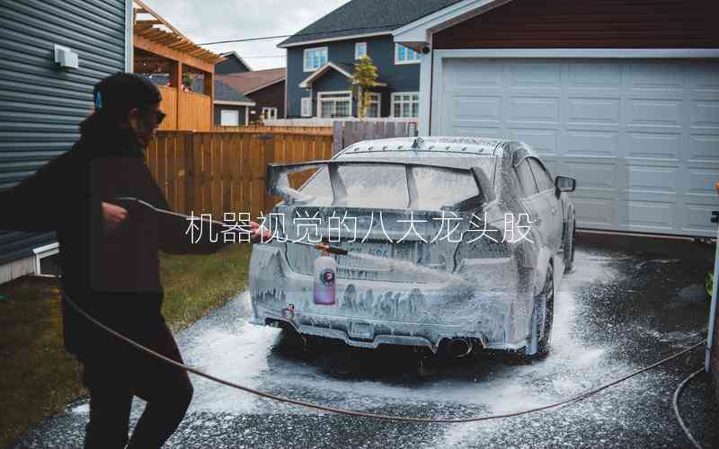 機(jī)器視覺的八大龍頭股 機(jī)器視覺的八大龍頭股