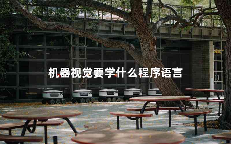 機(jī)器視覺要學(xué)什么程序語言 機(jī)器視覺要學(xué)什么程序語言