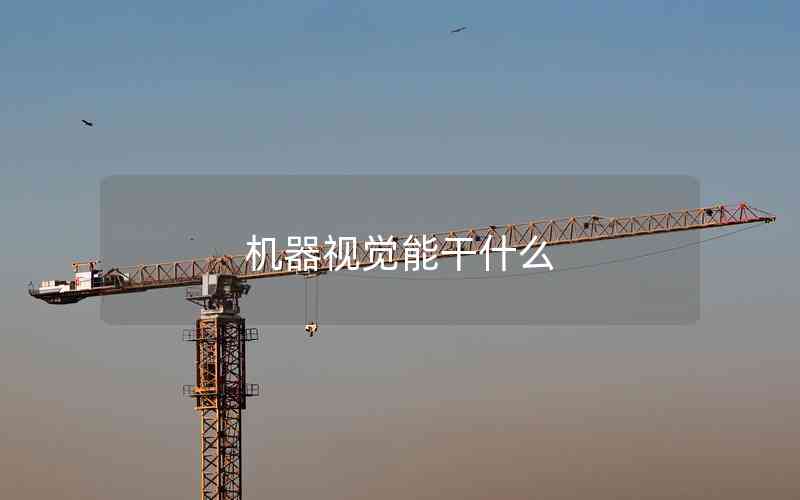 機(jī)器視覺(jué)能干什么 機(jī)器視覺(jué)能干什么