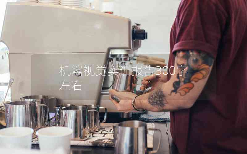 機(jī)器視覺(jué)實(shí)訓(xùn)報(bào)告300字左右 機(jī)器視覺(jué)實(shí)訓(xùn)報(bào)告300字左右