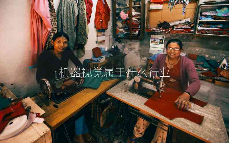 機器視覺屬于什么行業(yè) 機器視覺屬于什么行業(yè)