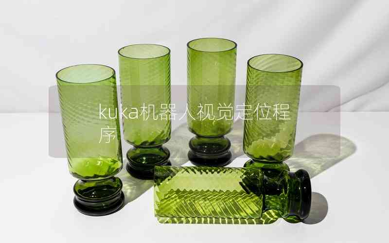 kuka機(jī)器人視覺定位程序