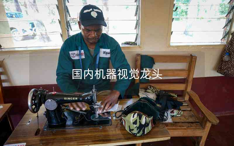 國內機器視覺龍頭 國內機器視覺龍頭