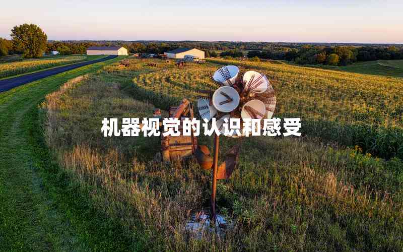 機器視覺的認(rèn)識和感受 機器視覺的認(rèn)識和感受