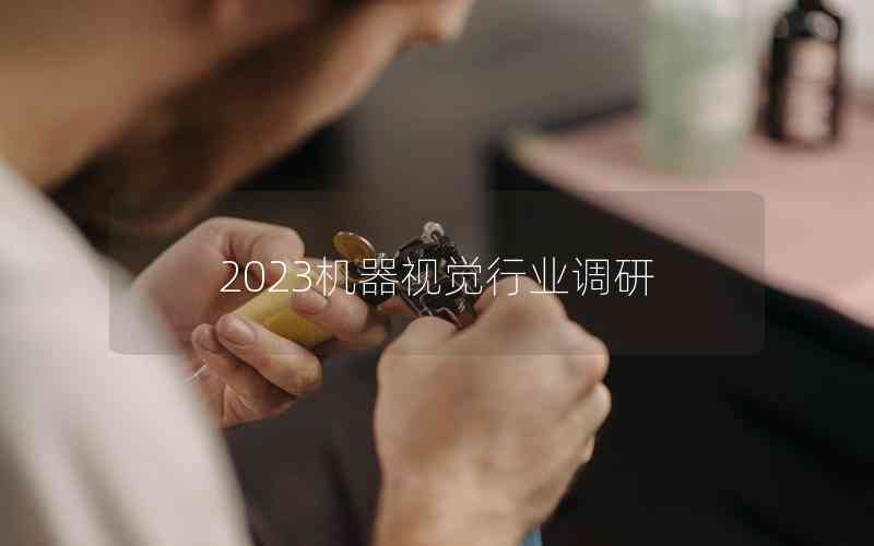 2023機(jī)器視覺行業(yè)調(diào)研 2023機(jī)器視覺行業(yè)調(diào)研