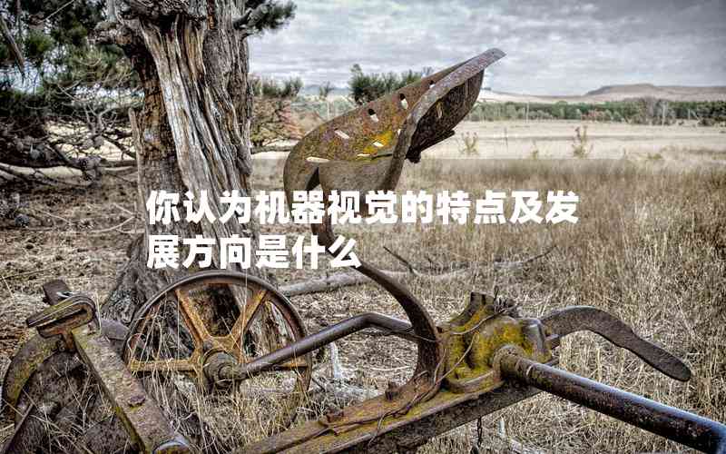 你認(rèn)為機(jī)器視覺的特點(diǎn)及發(fā)展方向是什么 你認(rèn)為機(jī)器視覺的特點(diǎn)及發(fā)展方向是什么