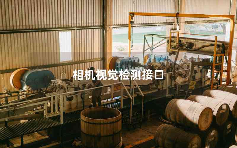 相機視覺檢測接口 相機視覺檢測接口