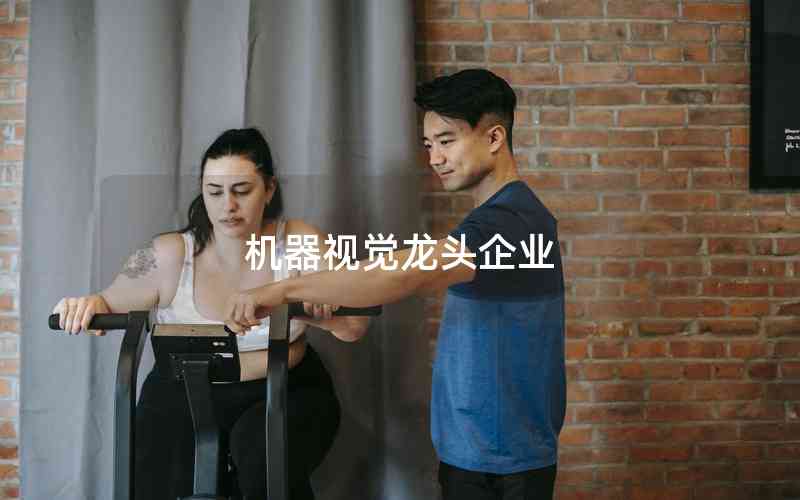 機(jī)器視覺龍頭企業(yè) 機(jī)器視覺龍頭企業(yè)