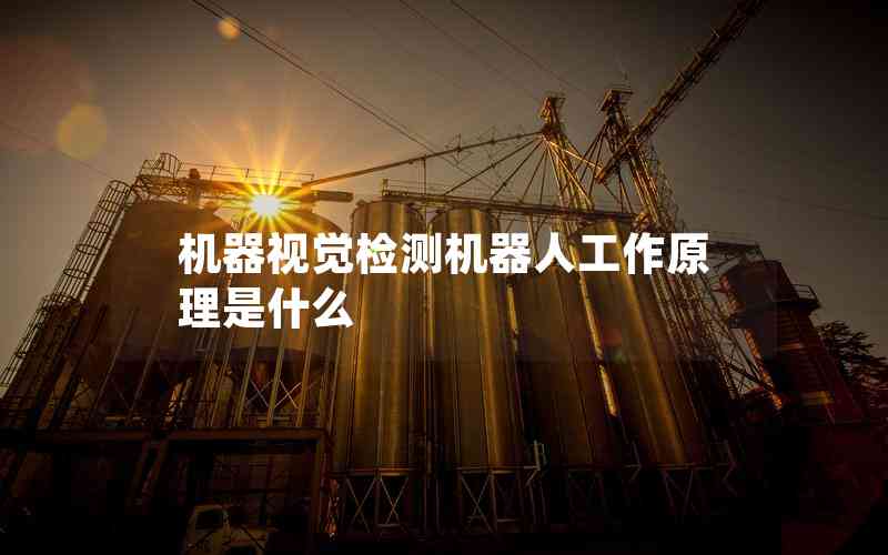 機器視覺檢測機器人工作原理是什么 機器視覺檢測機器人工作原理是什么
