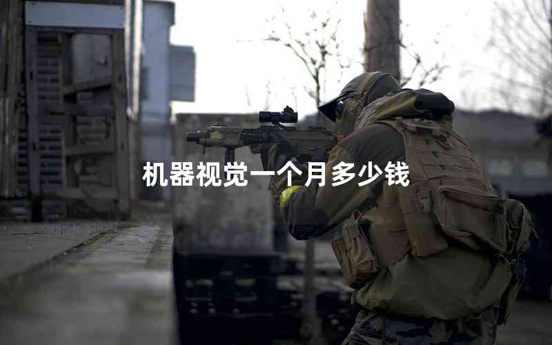 機(jī)器視覺一個(gè)月多少錢 機(jī)器視覺一個(gè)月多少錢