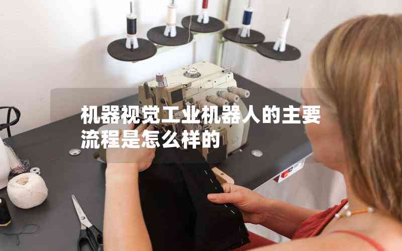 機器視覺工業(yè)機器人的主要流程是怎么樣的 機器視覺工業(yè)機器人的主要流程是怎么樣的