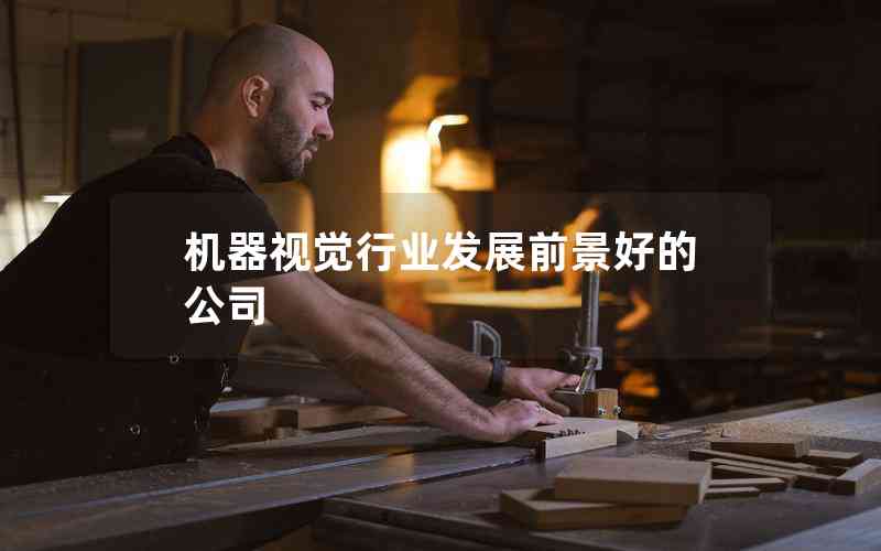 機器視覺行業(yè)發(fā)展前景好的公司 機器視覺行業(yè)發(fā)展前景好的公司