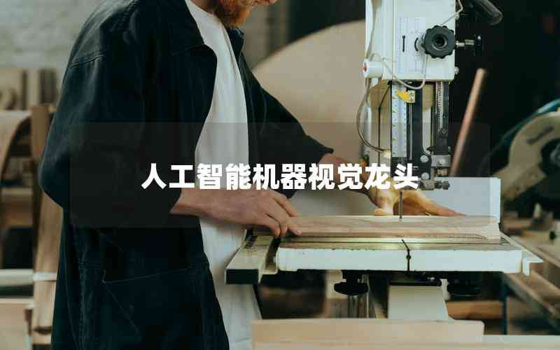 人工智能機(jī)器視覺龍頭 人工智能機(jī)器視覺龍頭