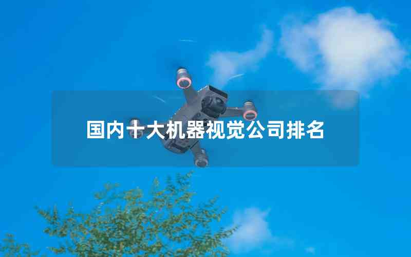 國內(nèi)十大機(jī)器視覺公司排名 國內(nèi)十大機(jī)器視覺公司排名