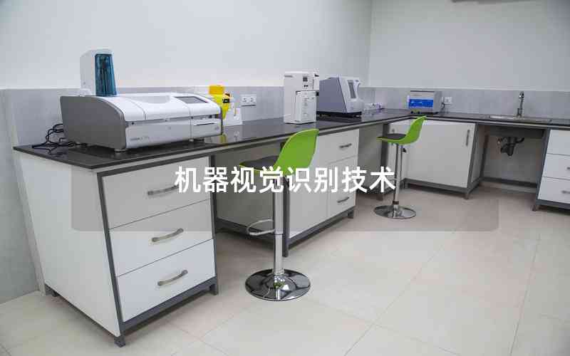 機(jī)器視覺識別技術(shù) 機(jī)器視覺識別技術(shù)